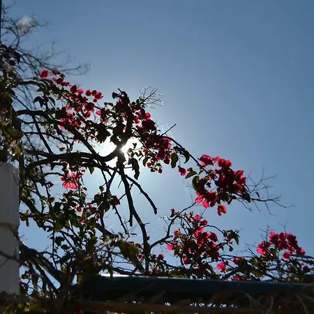 Apartament Giannatos Studios- Isabella Poros (Kefalonia)