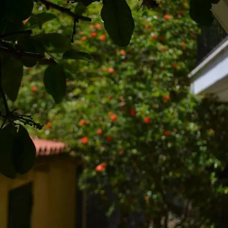 Giannatos Studios- Isabella Poros (Kefalonia)