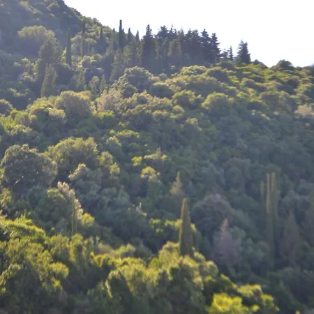 Giannatos Studios- Isabella Apartment Poros (Kefalonia)