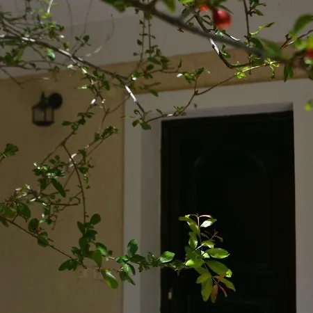 Giannatos Studios- Isabella Apartment Poros (Kefalonia)