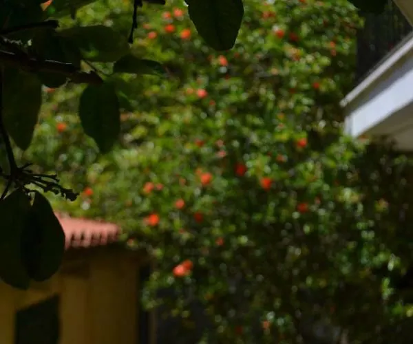 Giannatos Studios- Isabella Порос